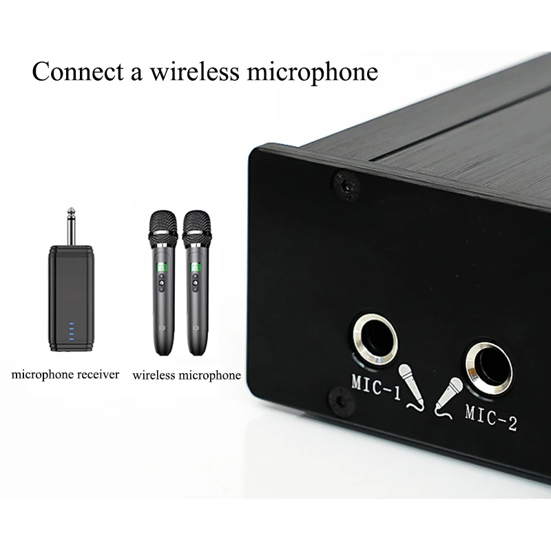 Усилитель Lyele Audio Tpa3255 для караоке усилитель класса D двойной микрофон вход