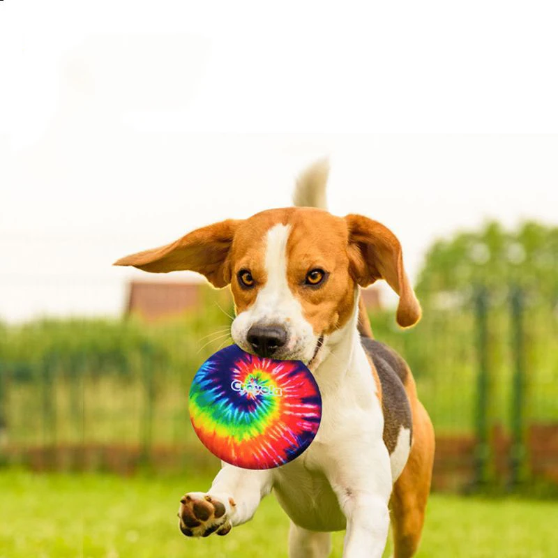 

Собака Летающая спинна устойчивая к укусам тренировочные специальные товары для питомцев граница животное Тедди тренировочная игрушка для фитнеса на открытом воздухе