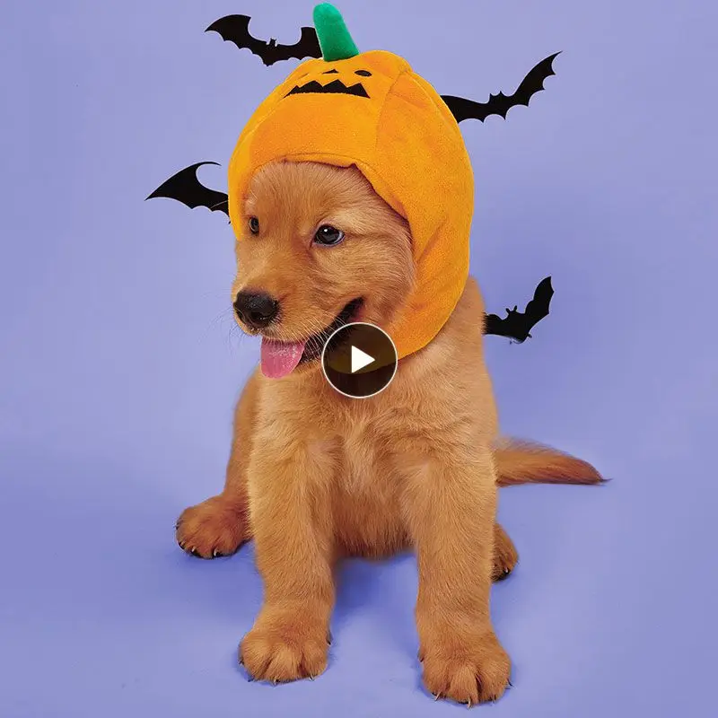 

НОВАЯ шапка для домашних животных на Хэллоуин с тыквой и собакой, милая шапка-трансформер на Хэллоуин с Тыквой и демоном, забавные товары для домашних животных, товары для кошек и собак