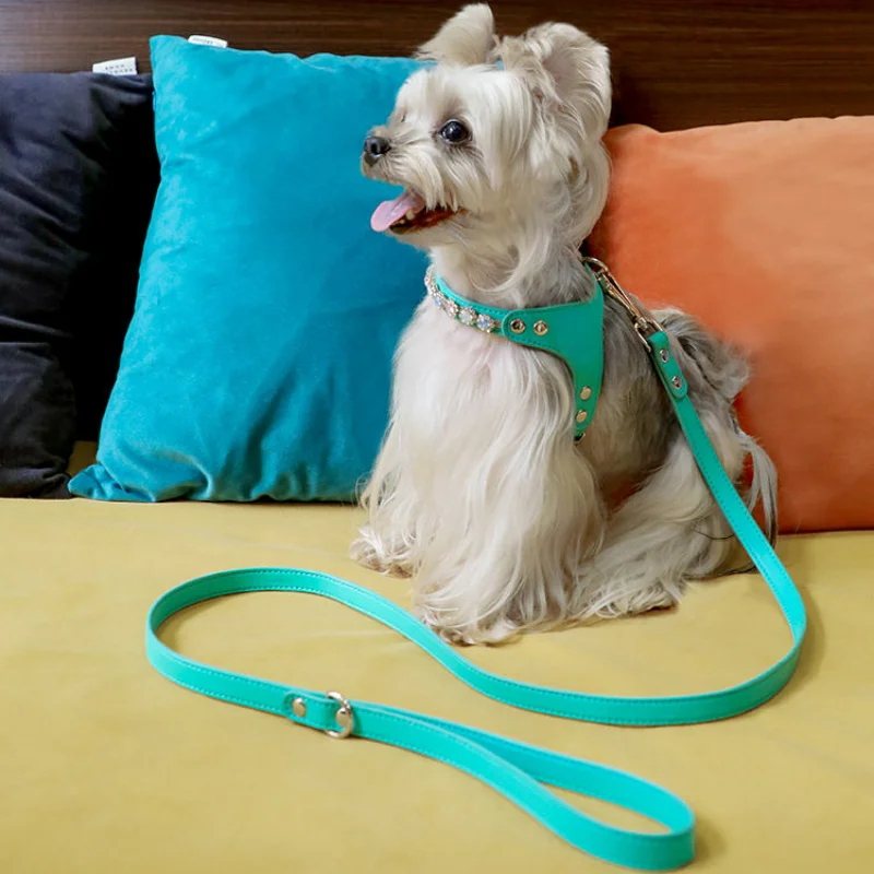 

Adjustable Hot Drilling Bow Pet Chest Strap Cat Leash Rope Set Small Dog Collar Chest Back Dog Strap Small Dog Pet Supplies