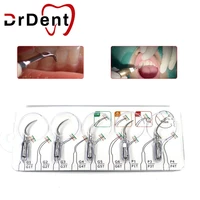 drdent dental 5pcsbox dental ultrasonic scaler tips for dental ultrasonic scaler handpiece
