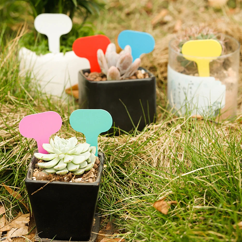 

100 Pcs Plant Label Stakes Plastic Plant Classification Sorting Sign Tag Waterproof for Gardening/Green House/Orchard/Botanical