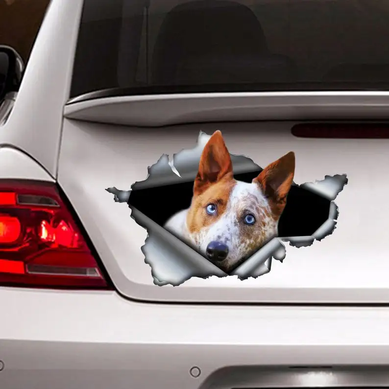 

Red Heeler sticker , torn metal decal, Red Heeler decal, dog sticker