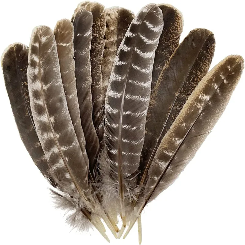 

50/200pcs/lot Natural Eagle Bird Feathers Plume Diy Dream Catcher Wedding Decoration Table Centerpieces Home Vase Craft Supplies