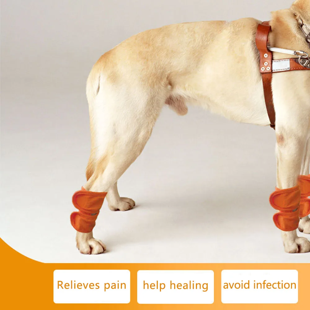 Протектор колена для послеоперационных суставов собак ремни облегчения боли в