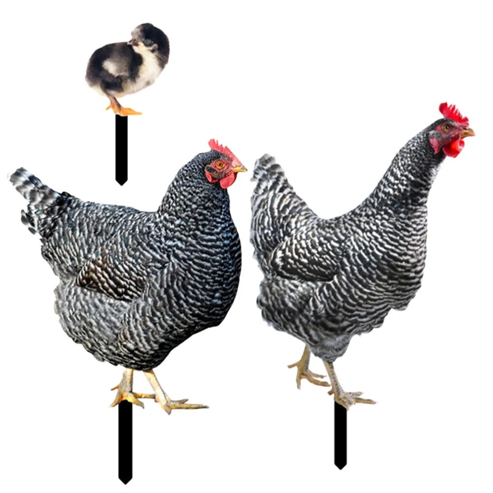 

3pcs Outdoor Acrylic Backyard Chicken Stake Decor Chicken Shaped Inserted Sign Lawn Chicken Stake