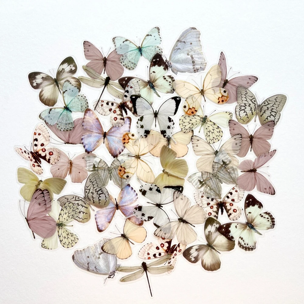

40 шт., прозрачные кремовые и серые наклейки-бабочки