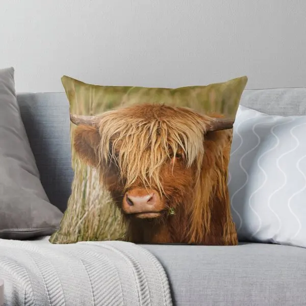 

Highland Cow Printing Throw Pillow Cover Bedroom Office Waist Square Bed Comfort Soft Sofa Case Hotel Pillows not include