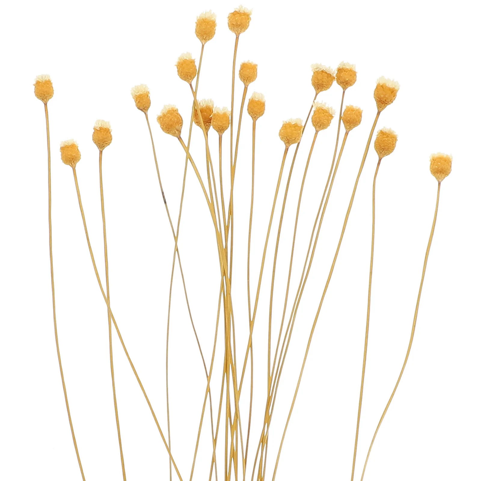 

20 Pcs Aromatherapy Rattan Reed Diffuser Stick Room Sticks Reeds Flower Replaceable Aromatic Wedding Diffusers