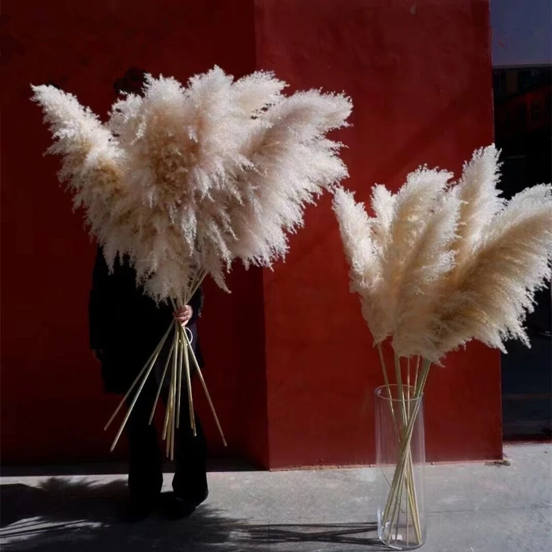 60-120 см пушистая большая пампасная трава сушеные цветы высокие Натуральные Сушеные пампасы Рождественский домашний декор в стиле бохо DIY свадебное украшение