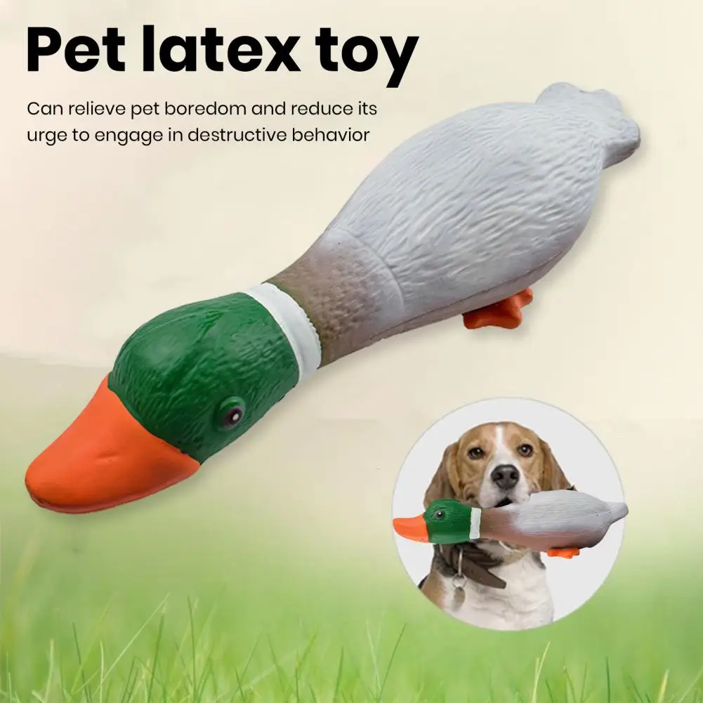 

Bite-resistant Dog Toy Durable Dog Chew Toy Cartoon Duck Shape with Built-in Sound Engaging Pet Squeaky Toy for Anti Bite Fun