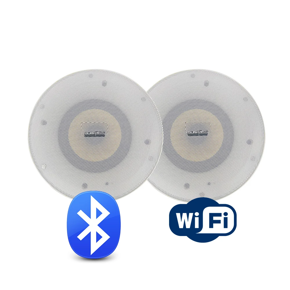 

Active Wireless Ceiling Speaker With Mobile APP Remote Control Super Woofer Loudspeaker