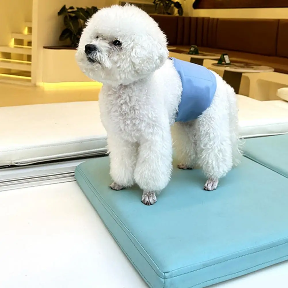

Female Dog Diaper Breathable Pet Panties Lint Free Avoid Infection Cozy Leak-Proof Excitable Urination Doggie Diaper