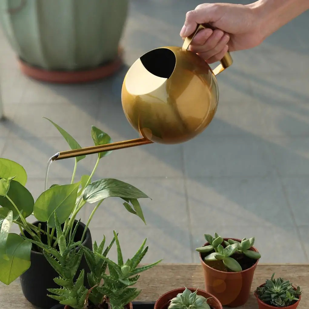 

1000ML Watering Pot Stainless Steel Long Mouth Green Plant Watering Can Golden Watering Kettle Small Watering Gardening Tool
