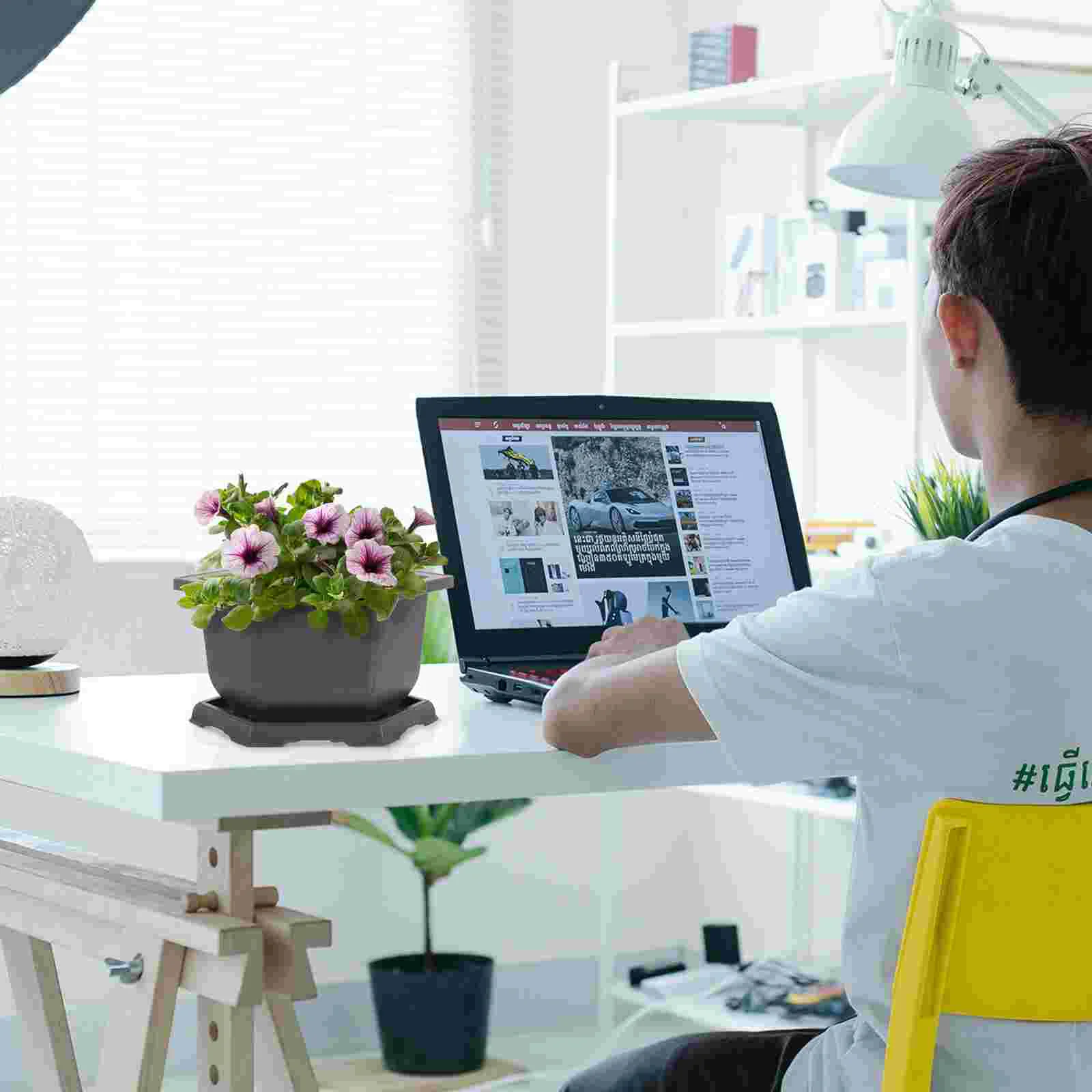 

2 Sets Bonsai Pot Potted Office Cactus Plants Outdoor Orchid Plastic Succulents Planter Pots