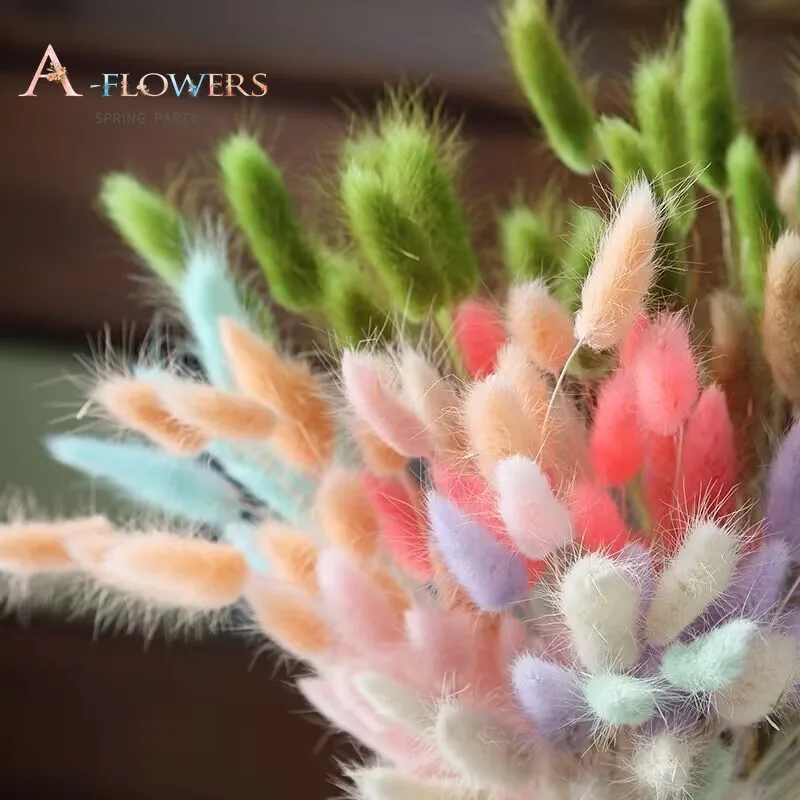 

Colorful Dried Flowers Rabbit Tail Grass Bouquets Nature Lagurus Ovatus for Autumn Wedding Table Decor Pampas Artificial Plants