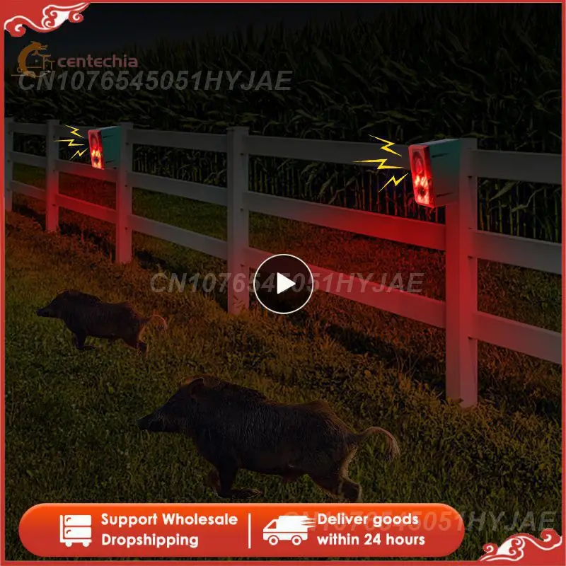 

Plant Shelves Outdoor Decor Dog Repeller Camping Solar Electric Shocker Light Wedding Decoration