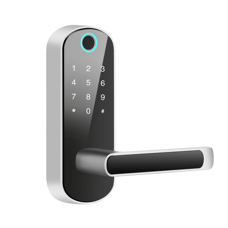 

Biometric Fingerprint Lock Security Intelligent Lock With WiFi APP Password RFID Unlock Door Lock for Electronic Hotels