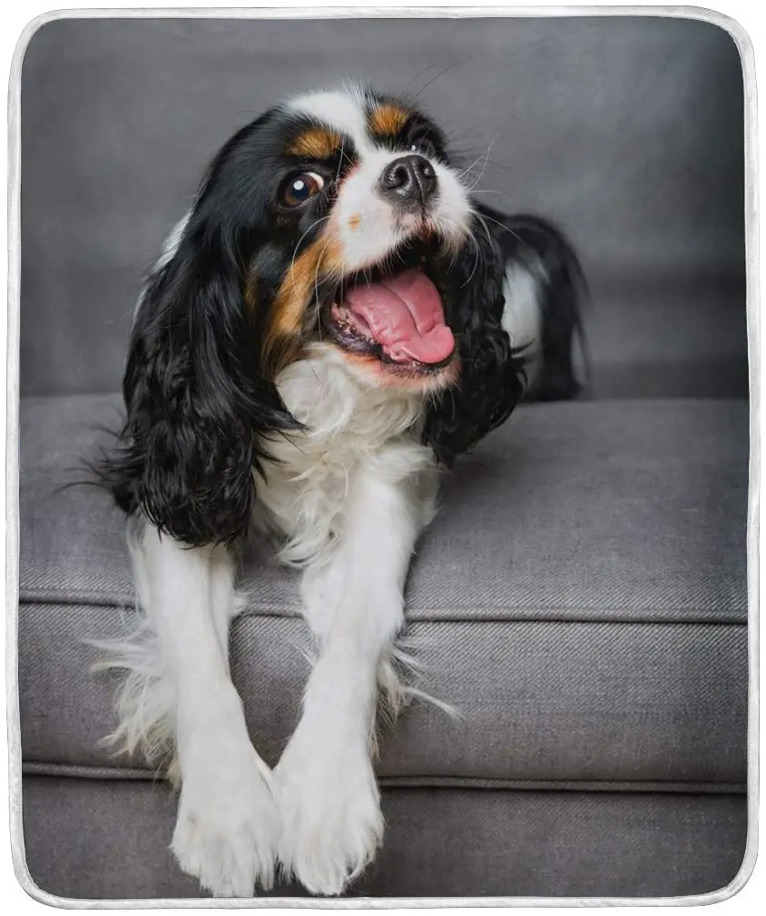 

Cavalier King Charles Spaniel Dog Throw Blanket Polyester Microfiber Sofa Warm Couch Bed Blanket