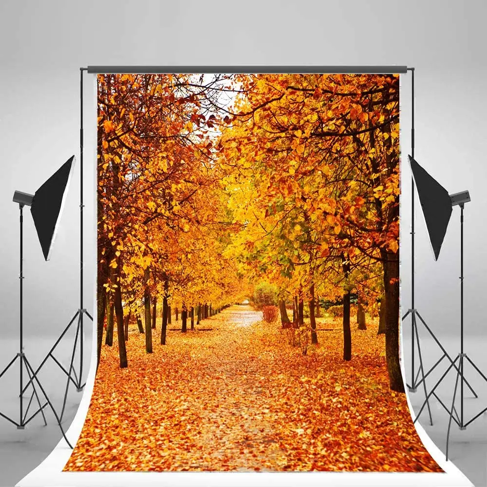 

Осенний пейзаж Фотография фон дерево и осенние листья вид фон баннер студия реквизит