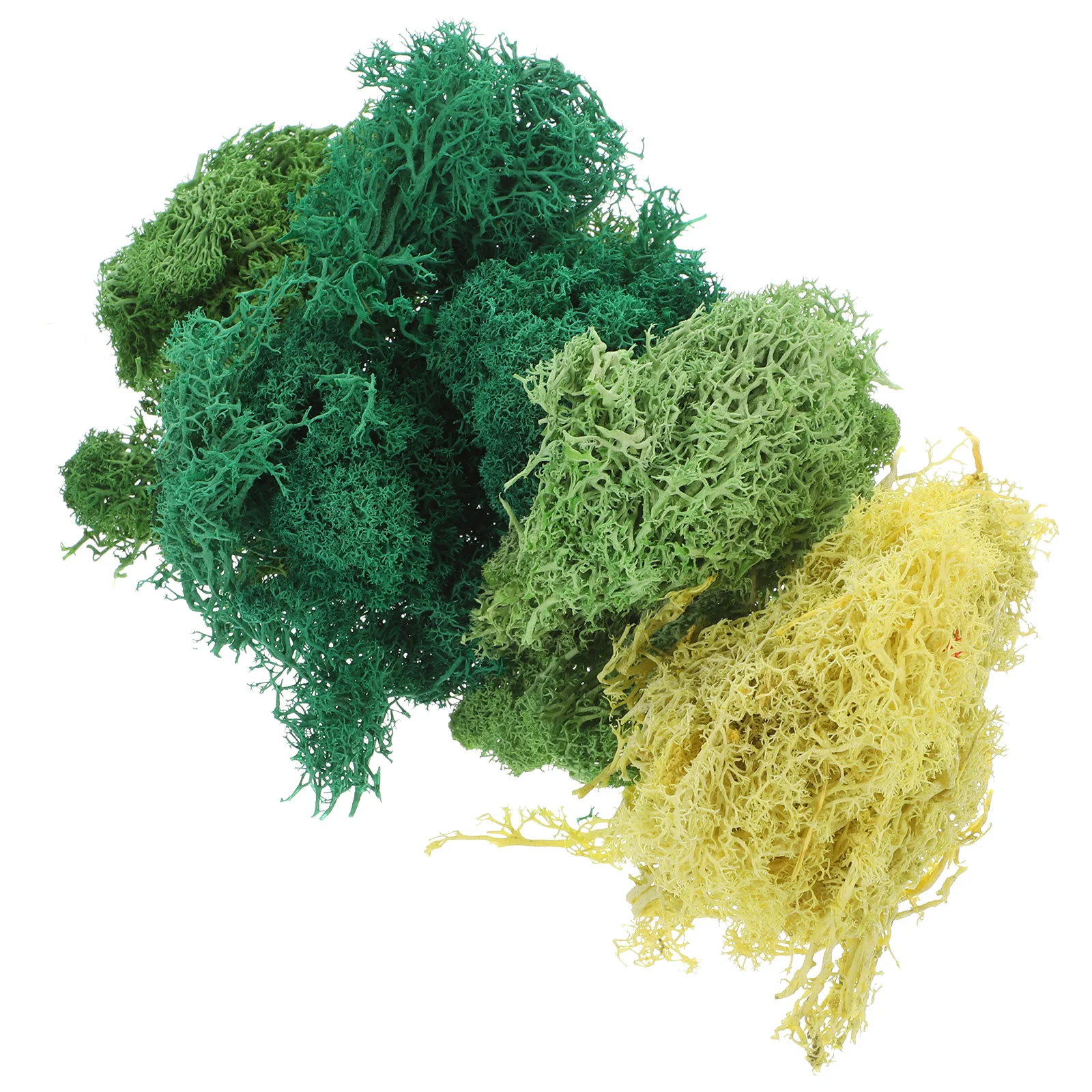 

4 Packs Preserved Eternal Moss Potted Plants Landscaping Eternal Moss Terrarium Decor