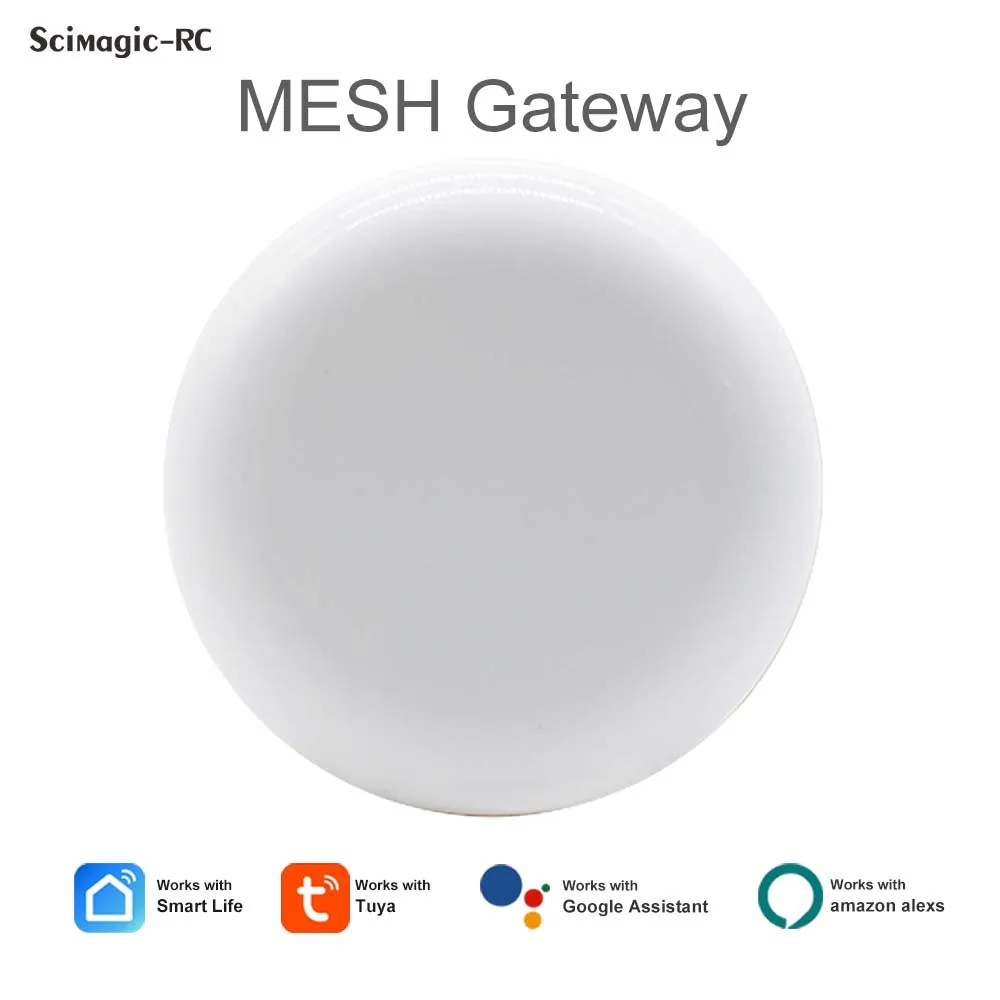 Mesh gateway. Mesh gateway