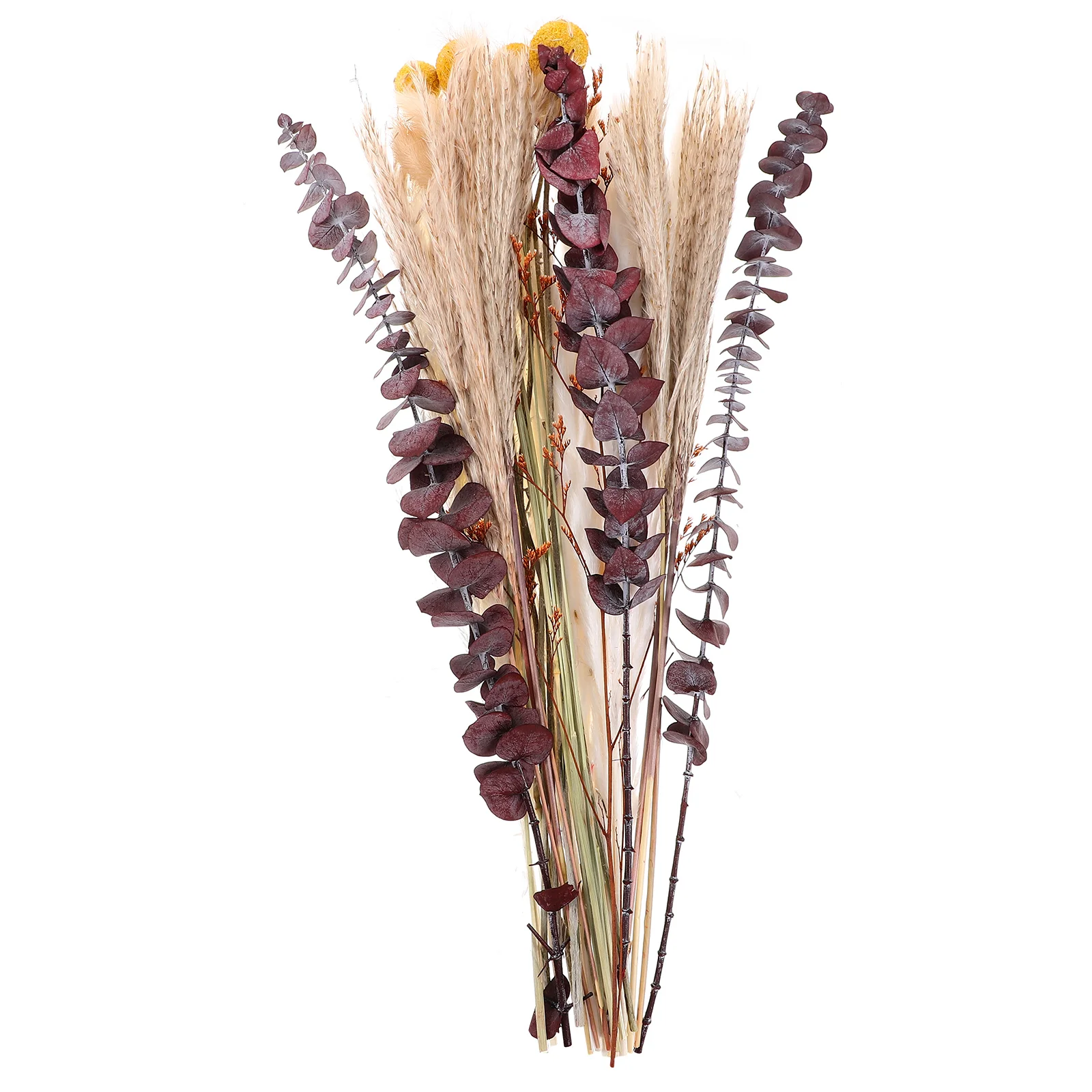 

34 Pcs Eternal Reed Grass Dried DIY Decors Nordic Pampas Vase Pampasgrass