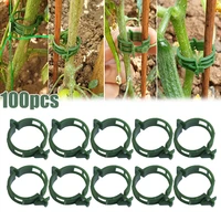 100pc plastic plant clips garden plant support clips connecter protection grafting fixing tool for vegetable tomato plant buckle