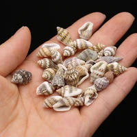 100g diy shell beads natural conch shell bead without hole for jewelry making diy necklace bracelet clothes accessory
