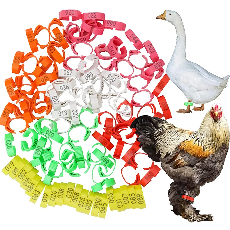 

10-50PCS High-quality Chicken Foot Ring 6 Colors Numbered Identification Leg Rings Clip for Poultry Chickens Ducks Geese Parrot