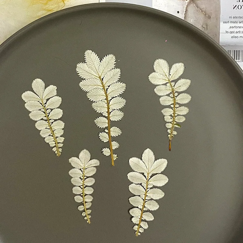 Настольная лампа сделай сам Антибликовая фоторамка с изображением белых листьев