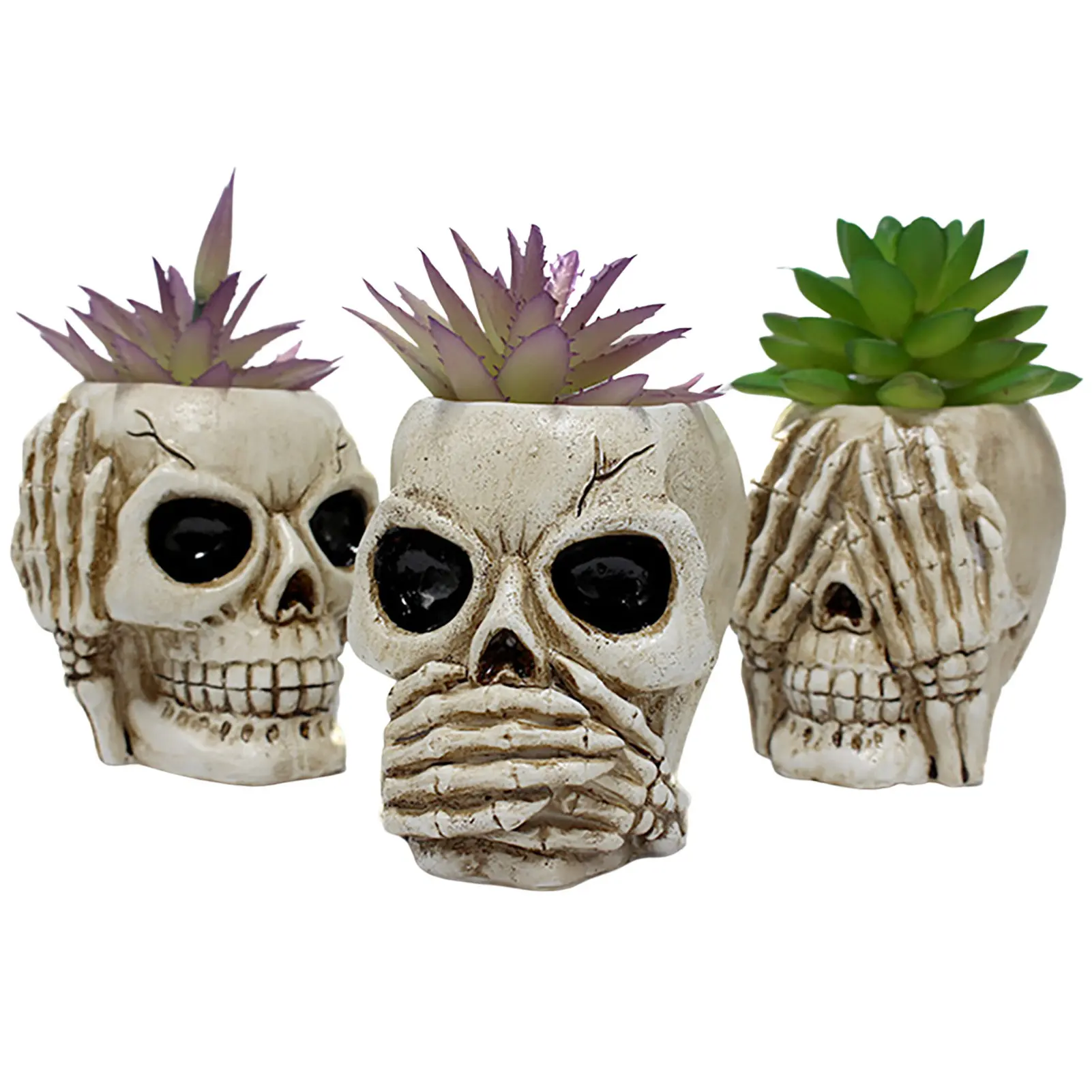 

Succulent Planter Pot 3Pcs Resin Skull Head Flower Pots Creative Succulent Pot Candy Container Flowerpot Funny Planter Plant
