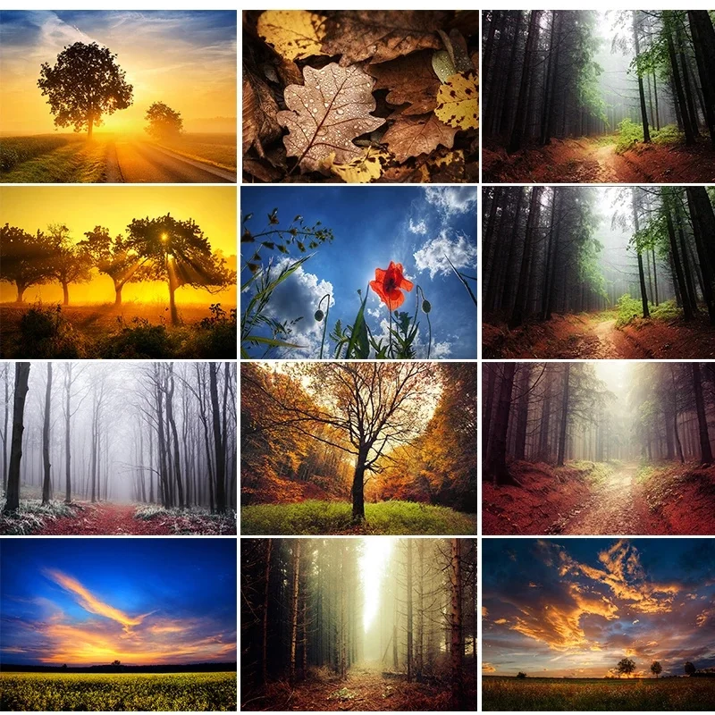 5D Набор Алмазной Живописи С Природным Пейзажем Креативная Вышивка Стразами