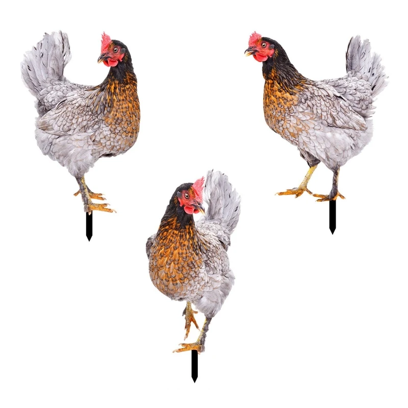 

3 Pack Garden Hen Stake Decorative Courtyard Patio Lawn Acrylic Stake Art Decor