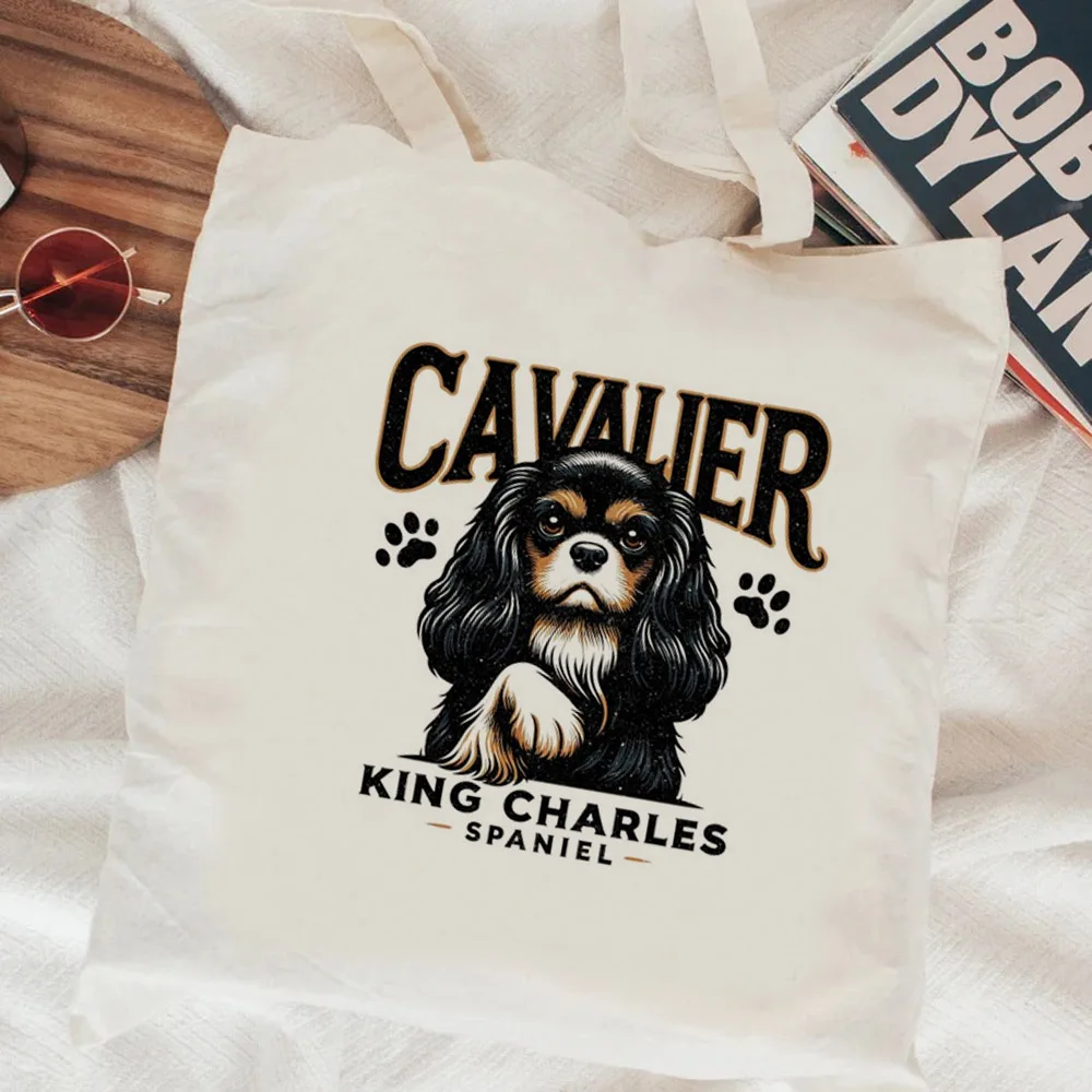 Собака кавалер Кинг чарльз спаниель
