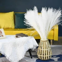 30pcs reed natural dried pampas grass phragmites communis bouquet tall real touch plumes home decor flower decoration