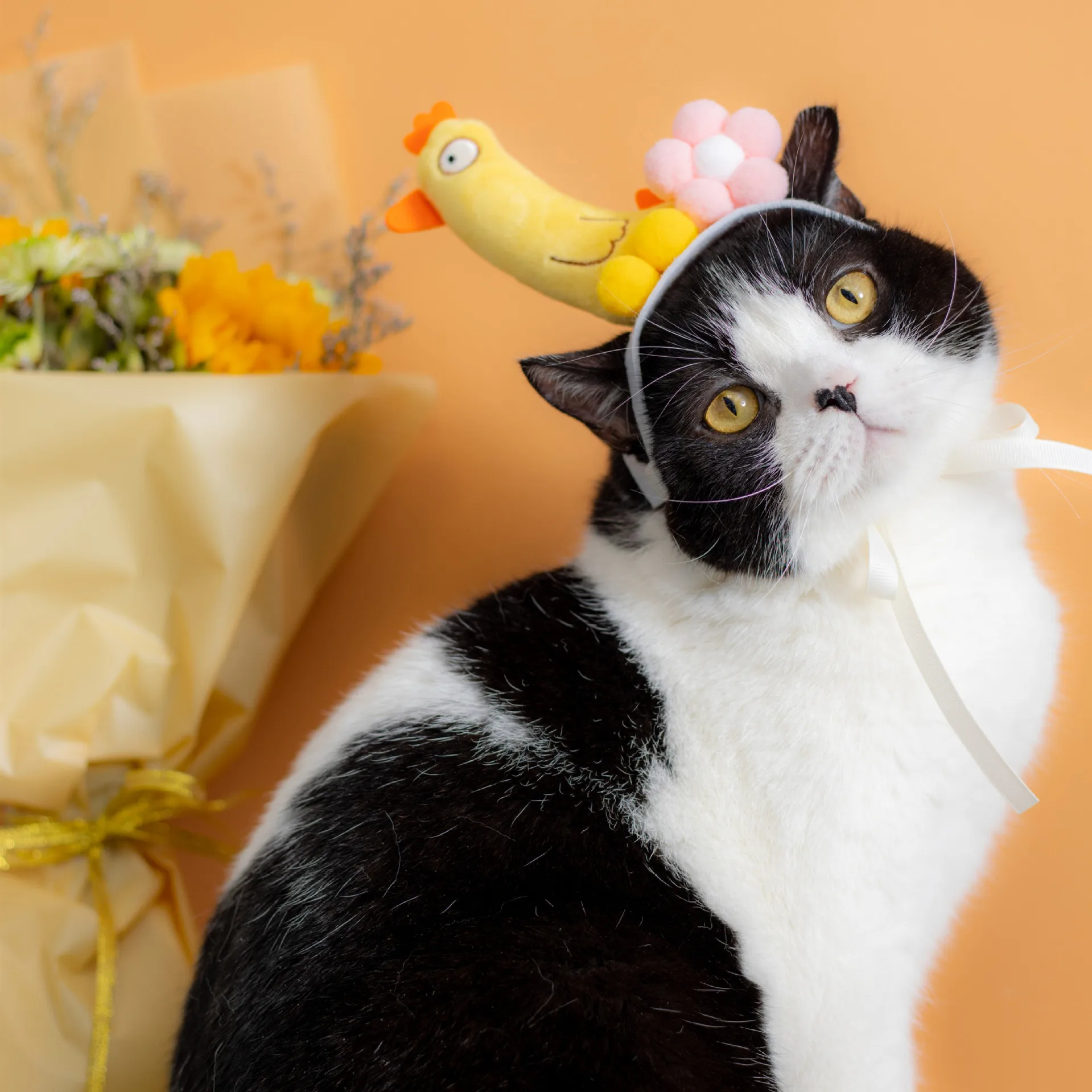 

Фотофон для дня рождения