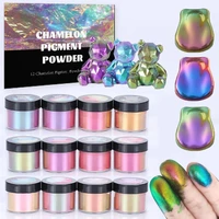 12pcs chameleons pigment kit pearlescent diy epoxy resin glitter magic discolored powder resin colorant jewelry making dye