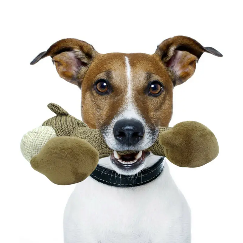 

New Pet Dog Plush Animal Chewing Toy Wear-resistant Squeak Cute Toys Soft Plush Stuffed Dog Puppy Teddy Interactive Toy Supplies