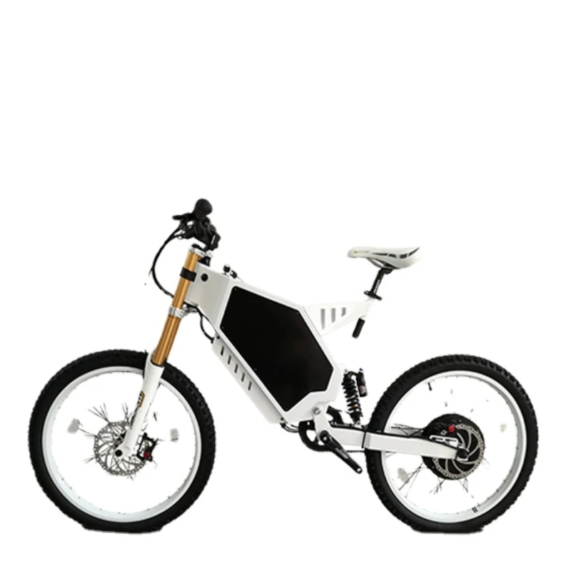 

3000w motor electric bicycle electro bike for man
