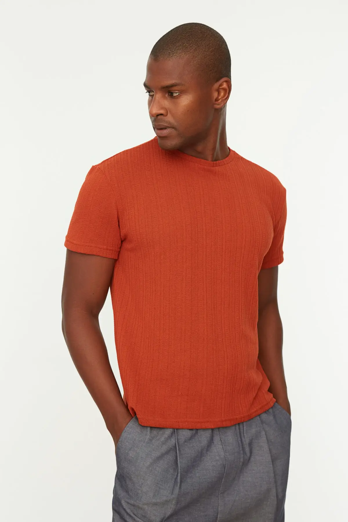

Men's Regular Fit Cycling Neck Short Sleeve Textured T-Shirt TMNSS22TS0228