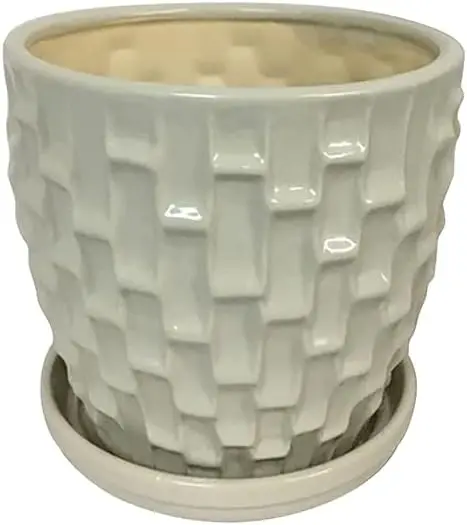 

& Home 8 inch Cream Escher Indoor Ceramic Planter with an Attached Saucer and Drainage Hole. Perfect Plant Pot for All House Gar