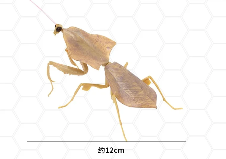 Фигурки насекомых Bandai Deroplatys Brancsikia Series02