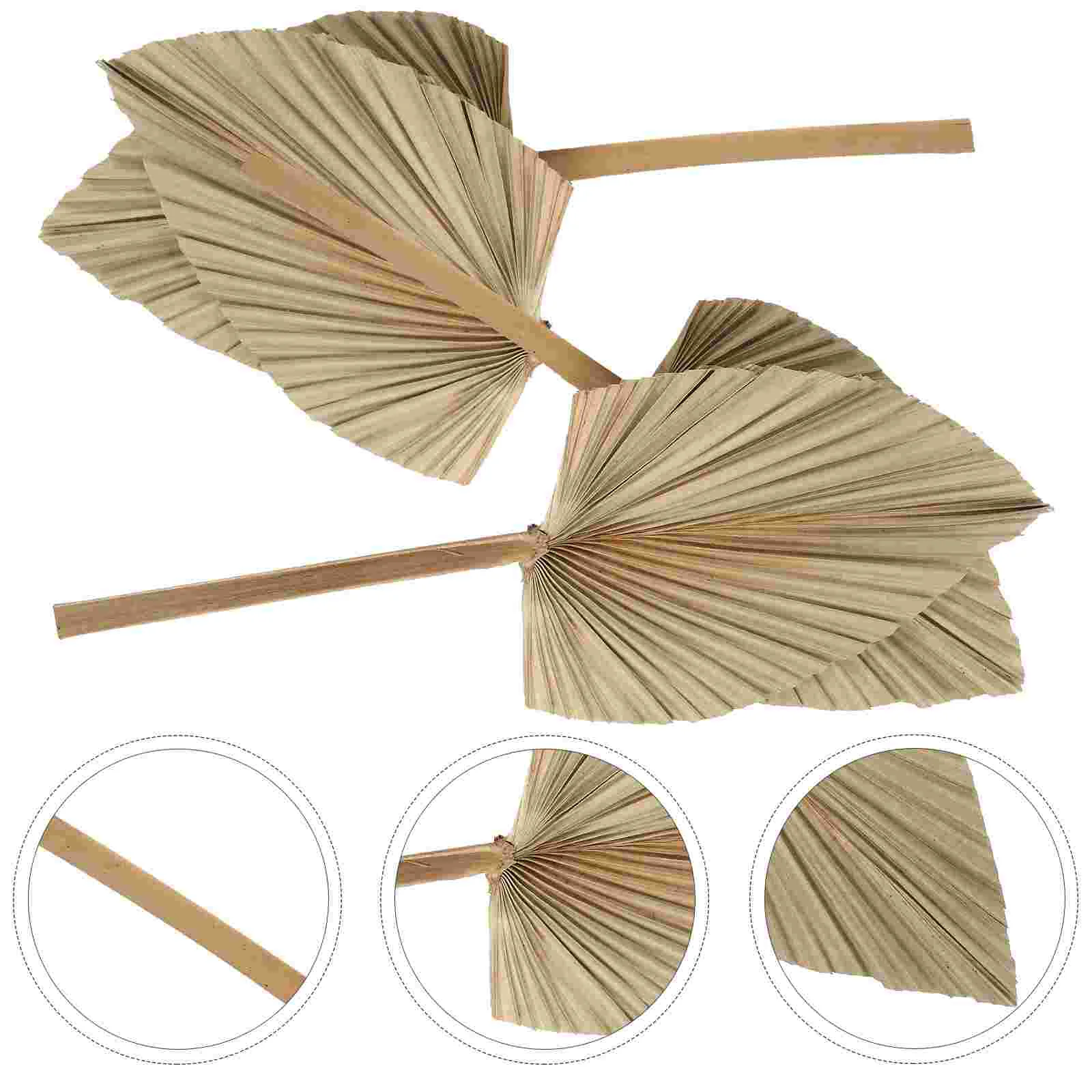 

Palm Dried Leaves Decor Fan Decoration Fans Tropical Leaf Bouquet Large Natural Wall Farmhouse Heart Handheld Stems Jungle