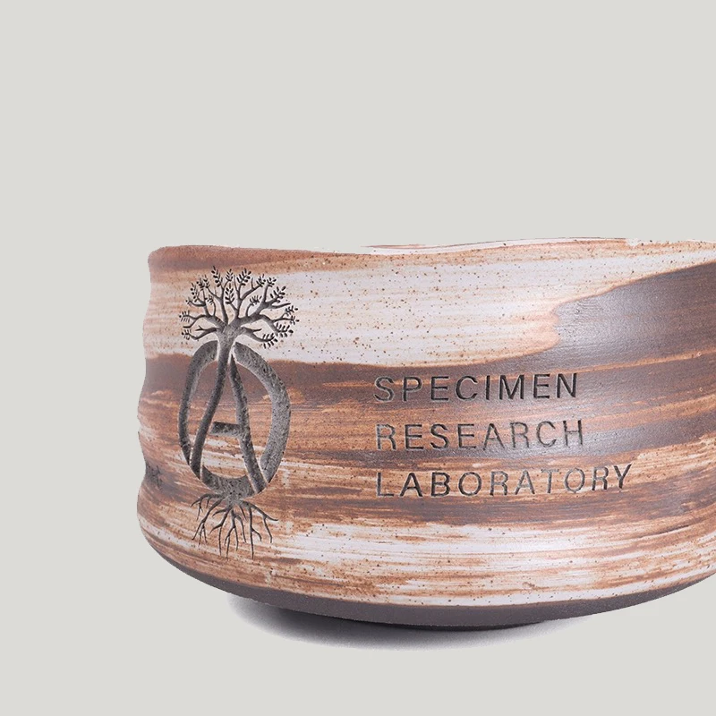 Большой горшок для цветов в виде черепахи-ракушки дракона Ebi Suxiao