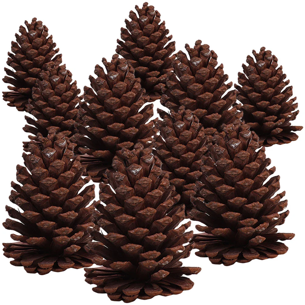 

10pcs DIY Pine Cone Decor Pine Cone Christmas Pine Cone Decorations