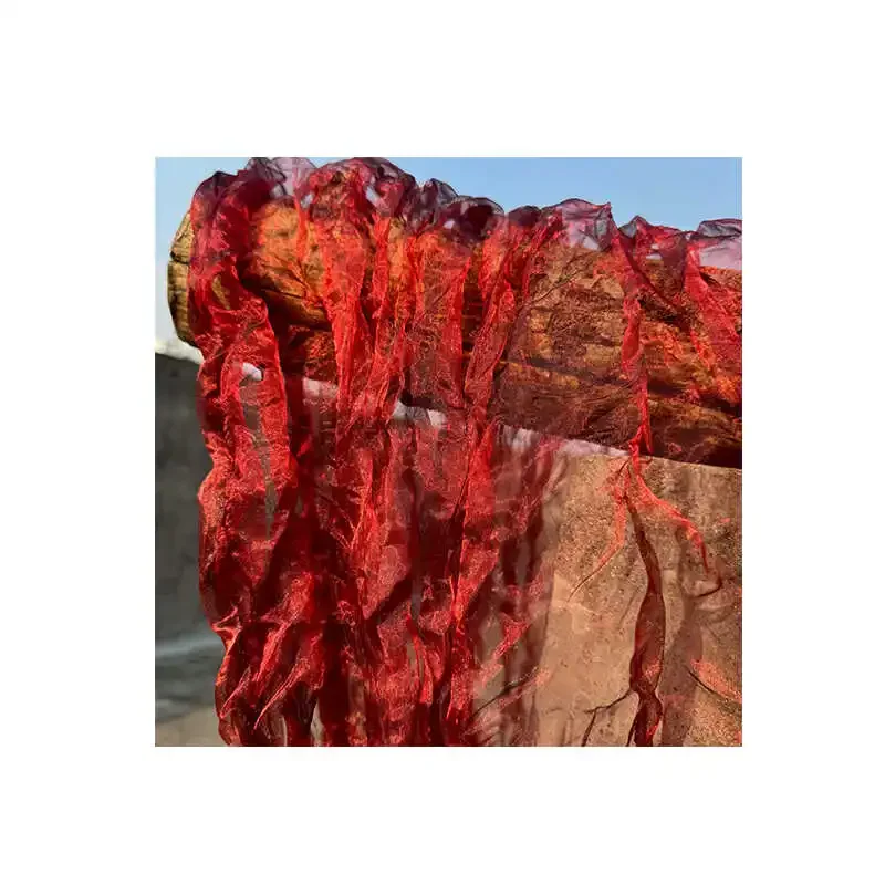 Irregularly Pleated Organza Water Light Mesh Creative Three-dimensional Texture Skirt Clothing Designer Fabric