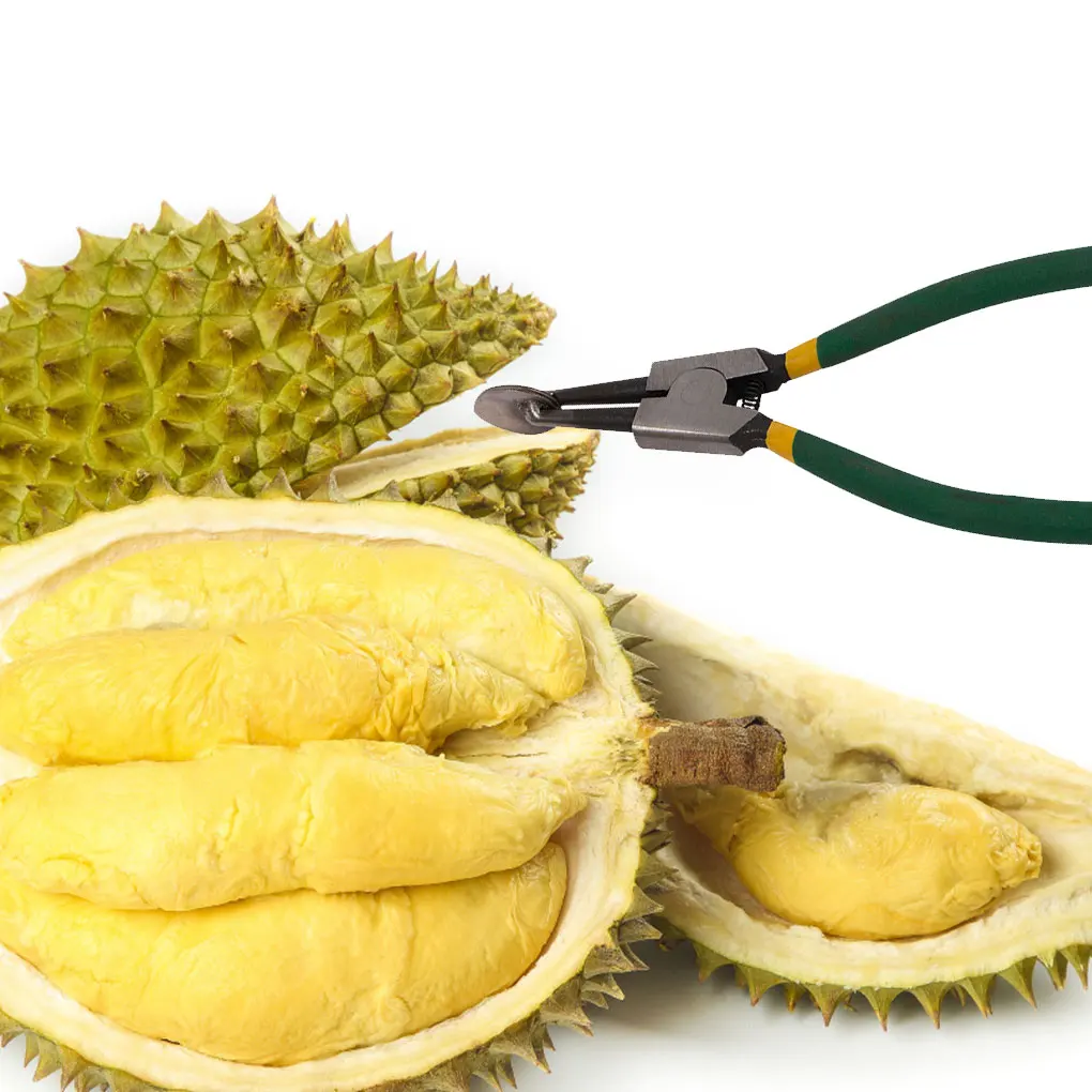 

Fruit Durian Opener Clip Rustproof Peelers Peel Breaking Tool Utensils Tool Accessories Gifts for Grocery Cooking