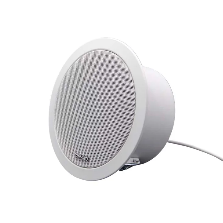 

Tonmind Sip Ceiling Speaker PA System Home Theater Music Equipment