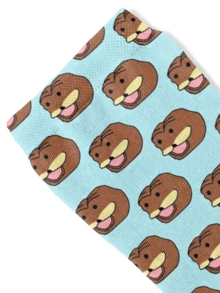 Носки Spurdo Sp?rde компрессионные чулки в стиле ретро походные ботинки мужские носки